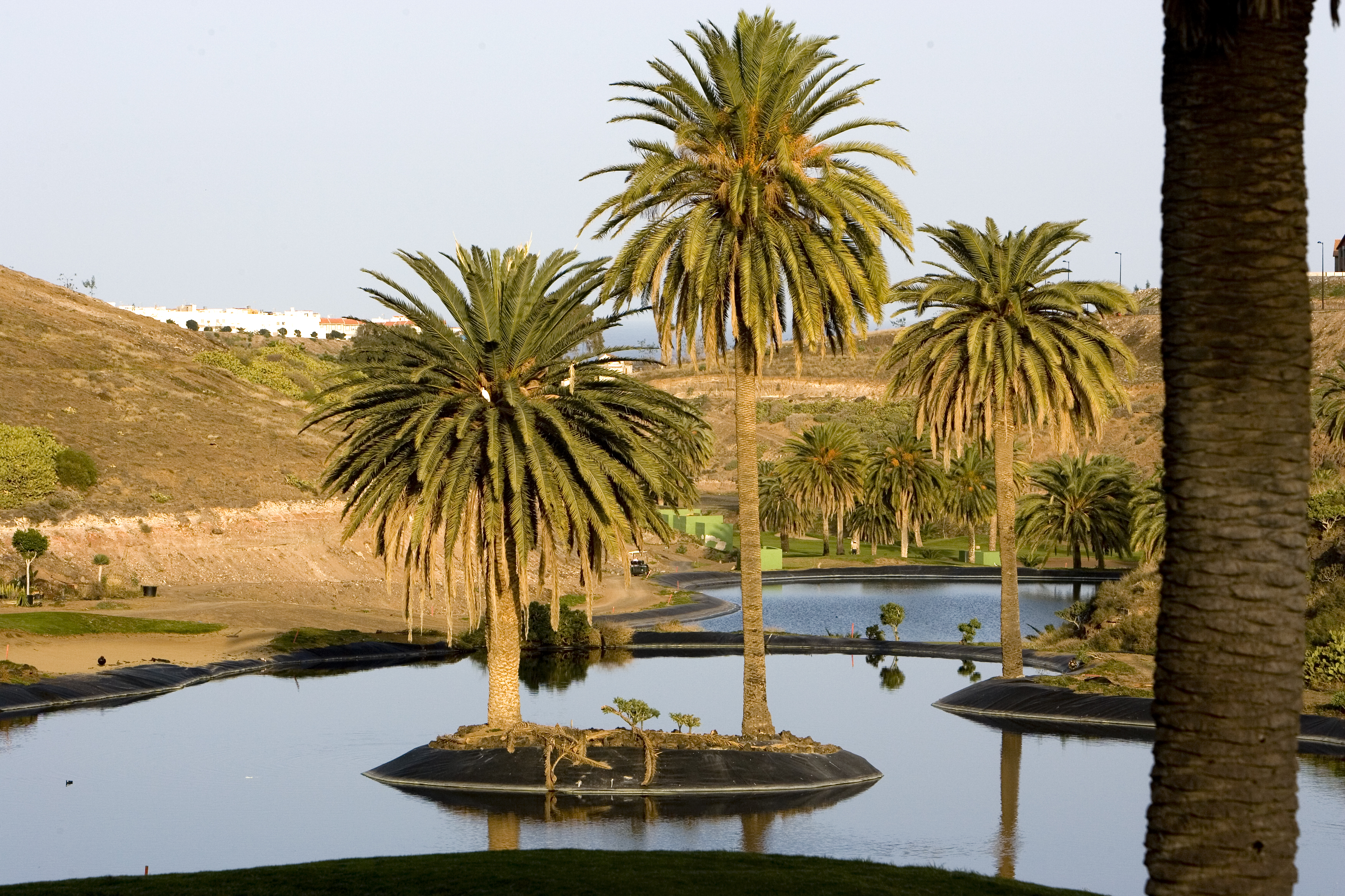 elcortijo-FOTO-DEL-CAMPO2